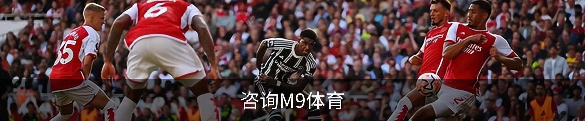 咨询M9体育
